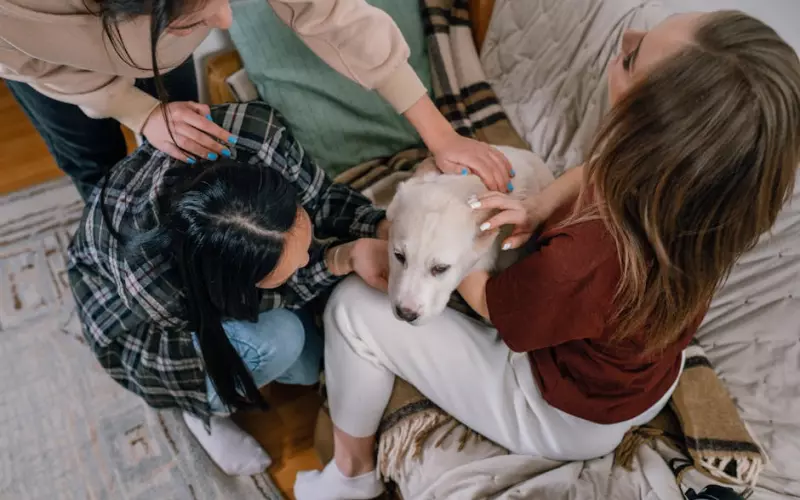 成功挽回爱情后如何才能不分手？