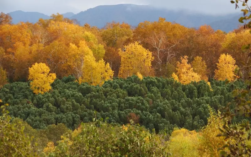 男孩子把你删了怎么挽回呢？