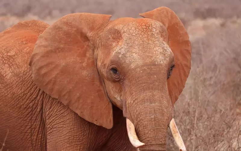 什么办法可以挽回一个男人？学会这几招，让感情重燃！