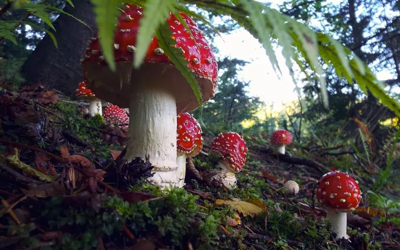 不痛一次，怎么看清一个人的真面目。