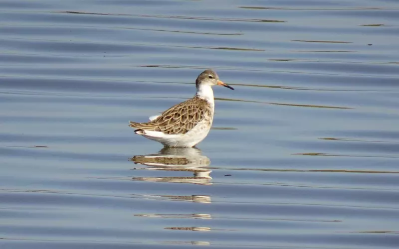 夫妻如何在一起幸福感更强(婚后如何保持夫妻间的新鲜感)