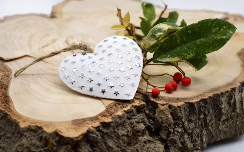 《心动的信号2》的恋爱套路有多深？