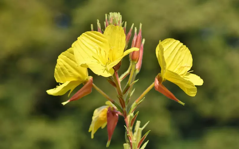 分手见人品是怎么来的 为什么说分手见人品