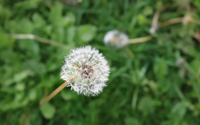 断联，是如何终结你和前任的？