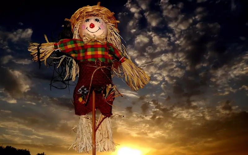 处理好婆媳关系看起来有多难，做起来就有多简单丨案例分析