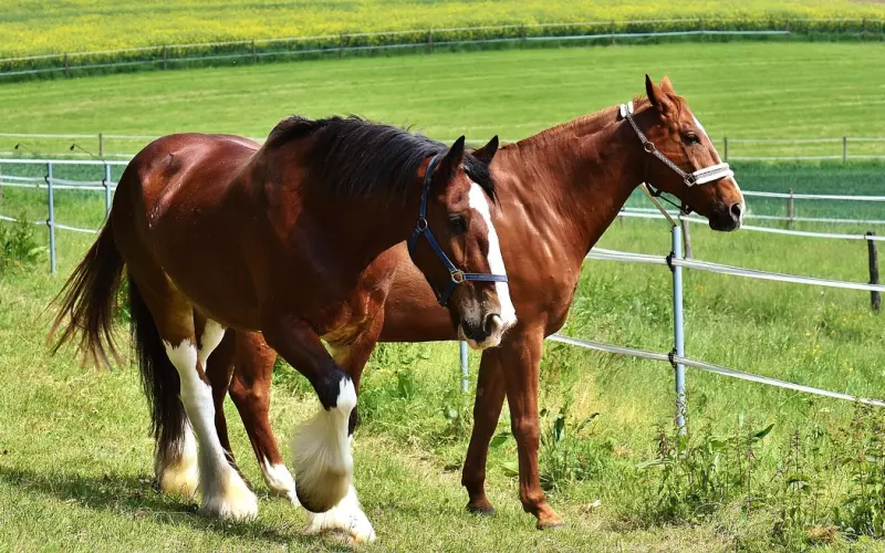 情侣复合以后如何继续发展下去？