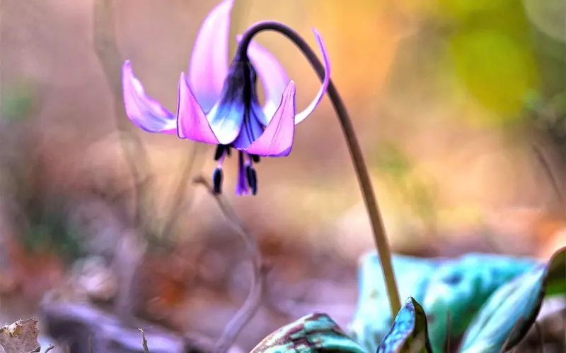 情侣分手后如何做朋友？