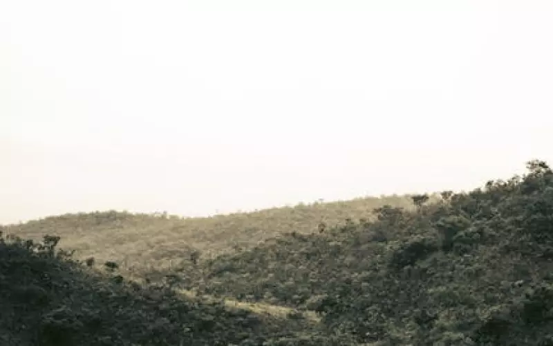 情感内敛的女生谈恋爱(感情失败的女生怎么谈恋爱)