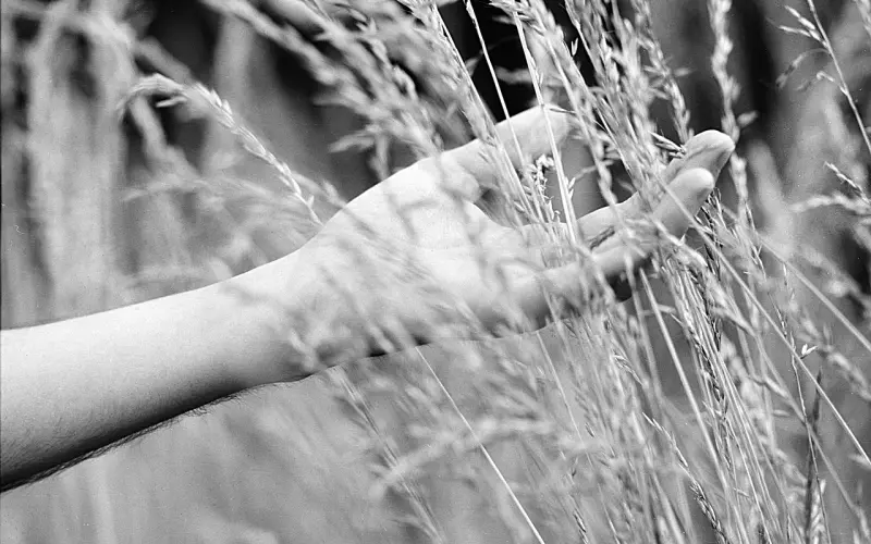 大家都是怎么和前男友复合的