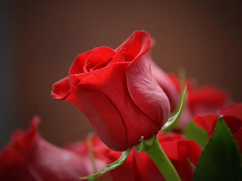 有处男情节 没有性经验的我如何与男友相处