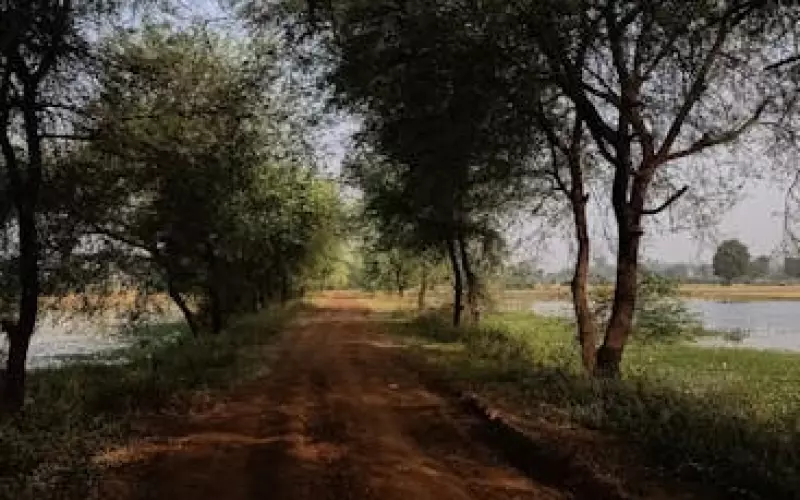 未婚妻和我闹分手怎么解决(未婚妻要和我分手怎么挽回)