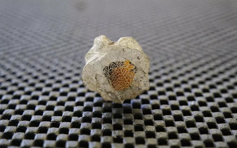 高情商的人如何巧妙回答亲友的追问？