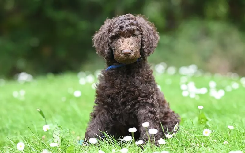 喜静的男生如何与好动的女生交往