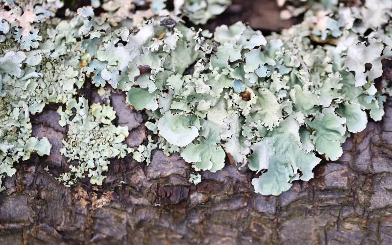 聪明女人是怎么获取话语权的？