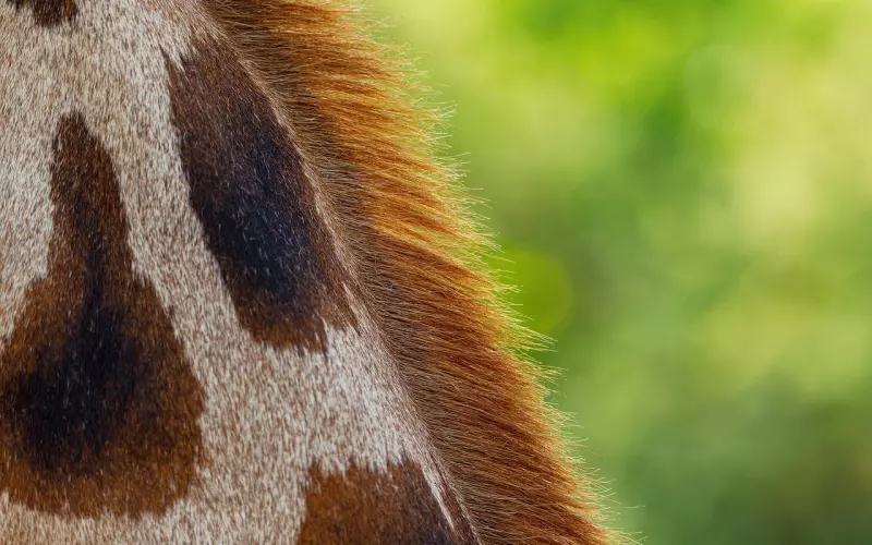 朋友和男朋友吵架哭了怎么安慰她