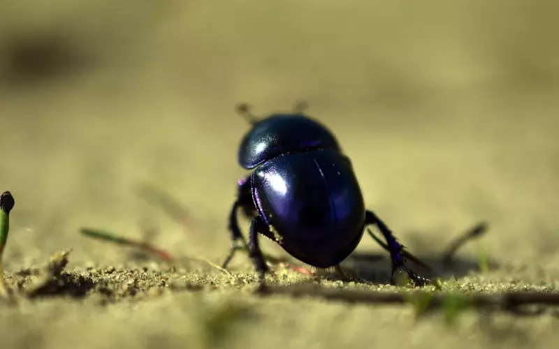 分手后是怎么复合的，可以做这些事情