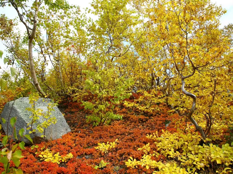 当老公有外遇时，你该怎么挽回你的婚姻呢？