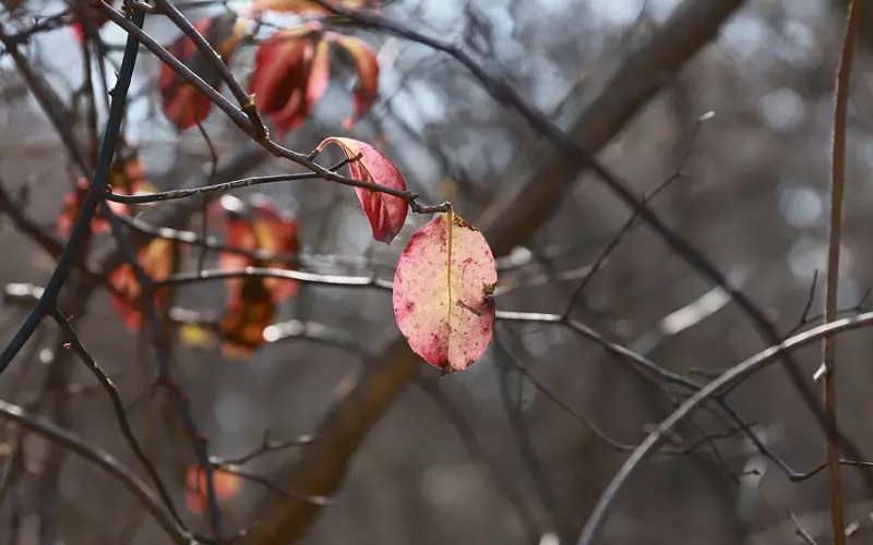 男友还放不下前任你要怎么挽回