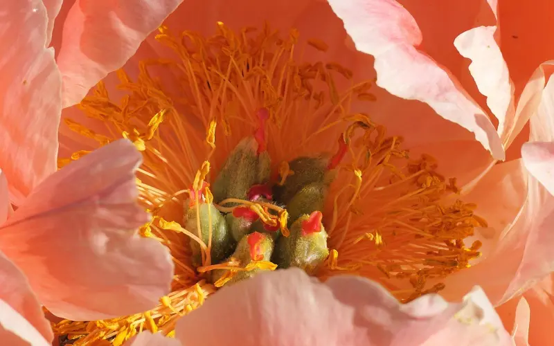 男生什么状态才体现出他已经爱上你了？