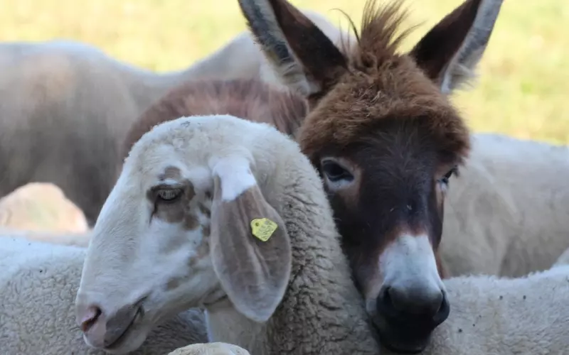 女生失恋了怎么走出来，超治愈的方法赶紧收藏起来！