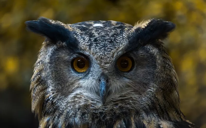 老公出轨，聪明女人是如何明智挽救婚姻的？挽回老公要用正确的方法