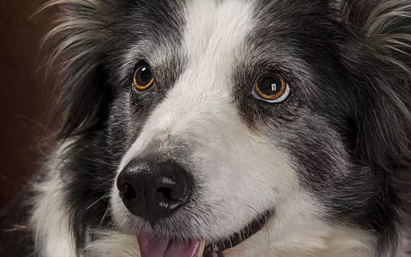 女人如何赶走小三？三招让她乖乖走人