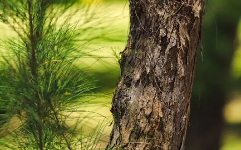女朋友怎样的表现是真的要分手了？