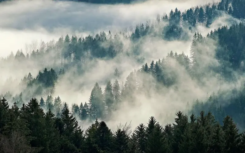 从生到死有多远？（深度好文）