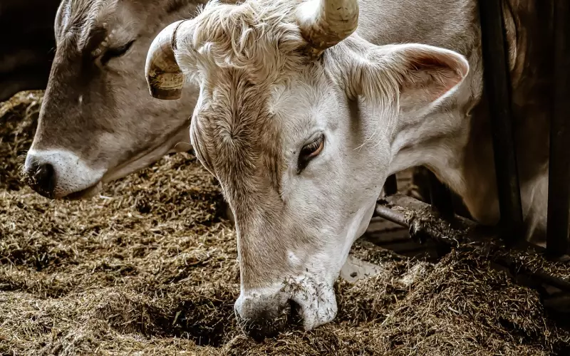 情绪稳定的女人，到底有多好命？