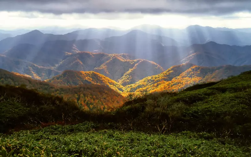 感情中三观相合，到底有多重要？