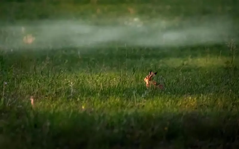 降低需求感在挽回爱情中有多重要？