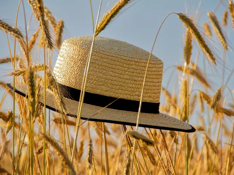 心凉要多久？也许一瞬间