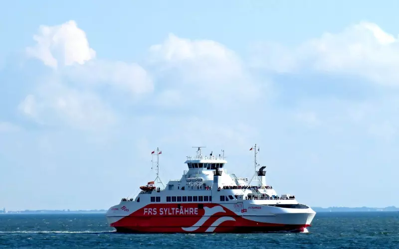 挽回爱情多久去联系