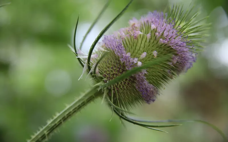 断联多久才可以开始挽回