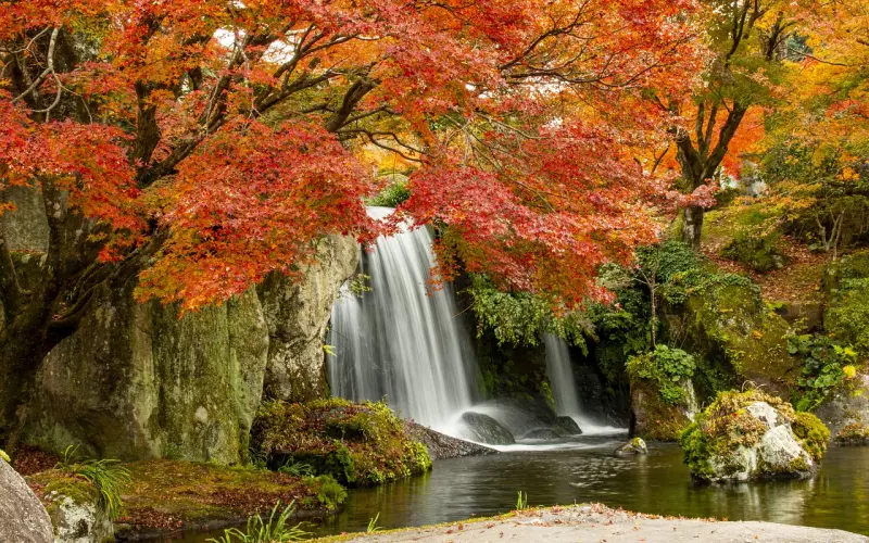 复联挽回需要多久