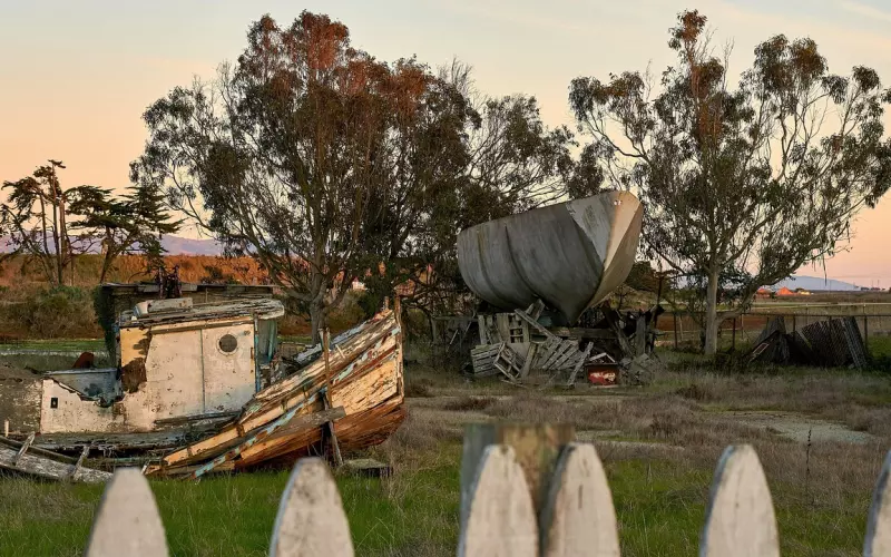 情感挽回多久适合放弃