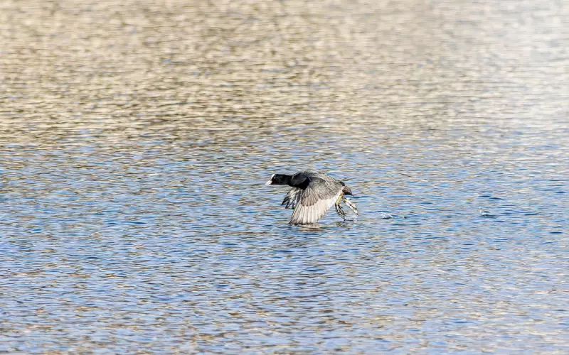 分手后拉黑多久还可挽回