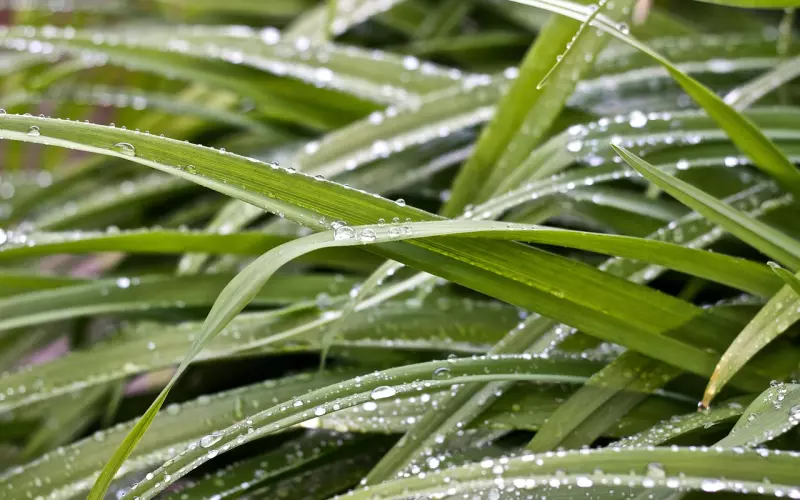 爱情的新鲜感一般能维持多久？新鲜感过了又应该如何做？