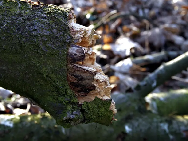 断联挽回多久最好？看完你就知道了