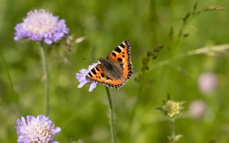 ?您是有多大福报，才能看到此文！