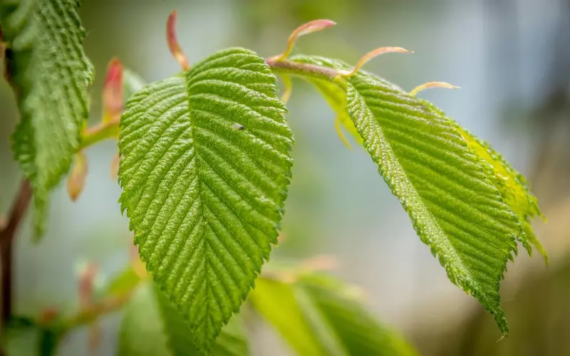 多少婚姻，都是败给了这5个“第一次”