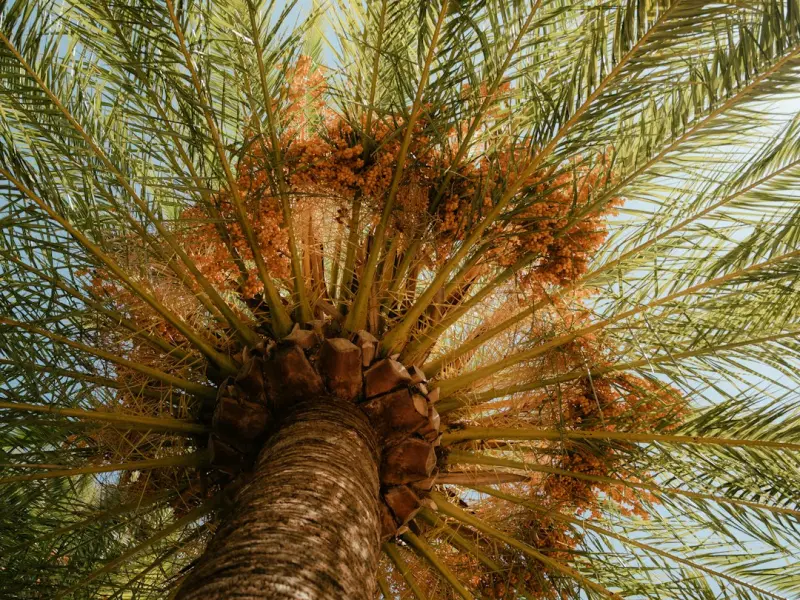 挽回失败的八大元凶你中了几个？