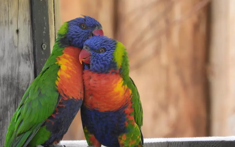 这些恋爱误区，你陷入过几个