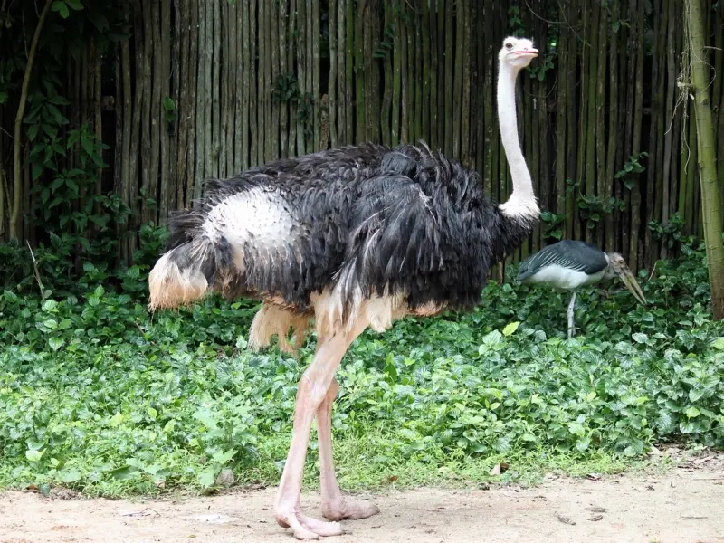 让女人以身相许的七句情话，你会说几句？