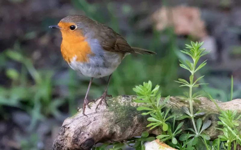 挽回一个不爱自己的人，有多少像我一样在坚持着