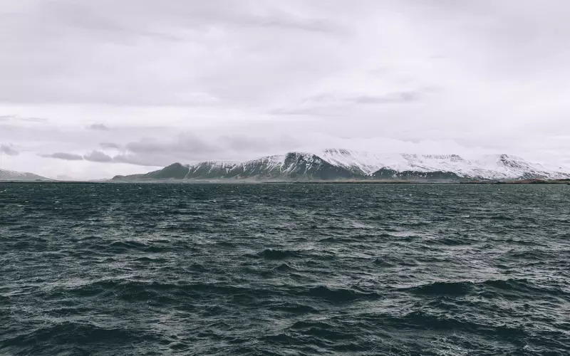 嘴有多贱，命就有多贱！