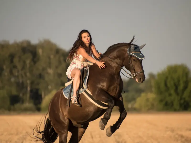 挽回异地恋，爱情保鲜诀窍懂多少