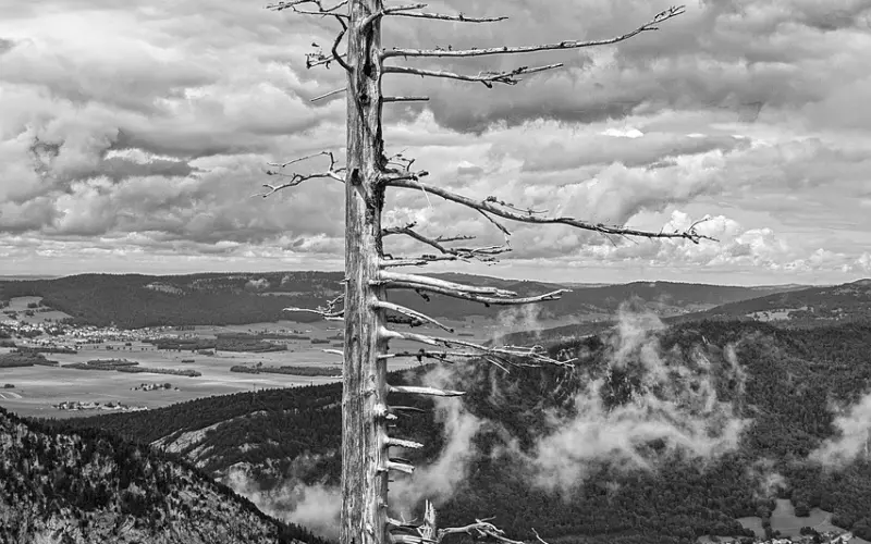 多少的爱情，都“死”在了这件事儿上