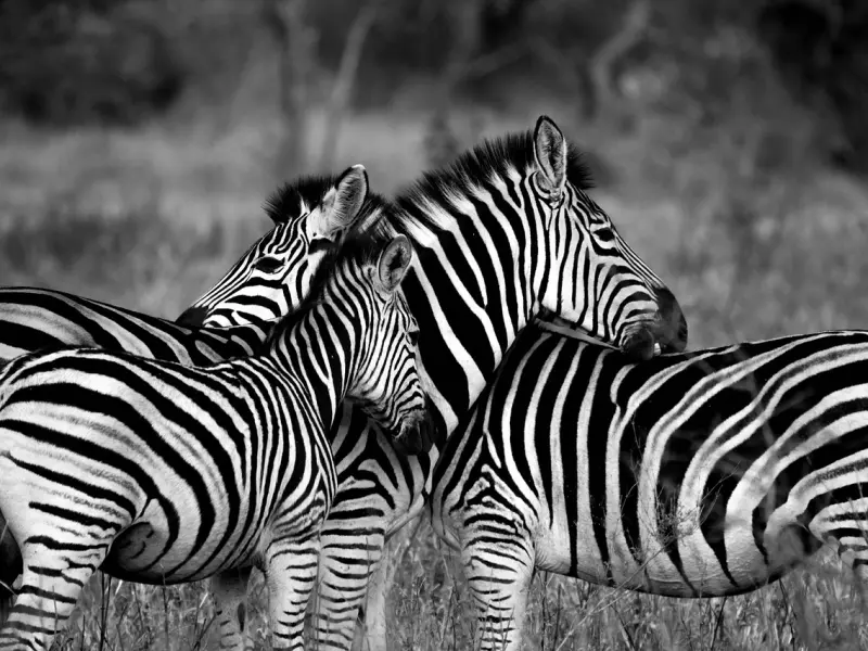 追一个女孩，花多少钱合适？