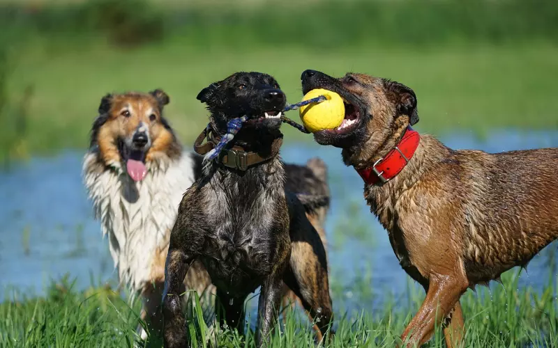 男女朋友吵架闹分手该如何挽回？